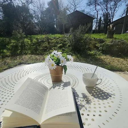 Le Repos Des Oliviers Casa vacanze Vitrac-Saint-Vincent